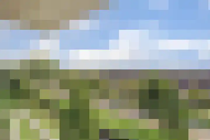 Adamsdreef 227 Ede thumbnail 5