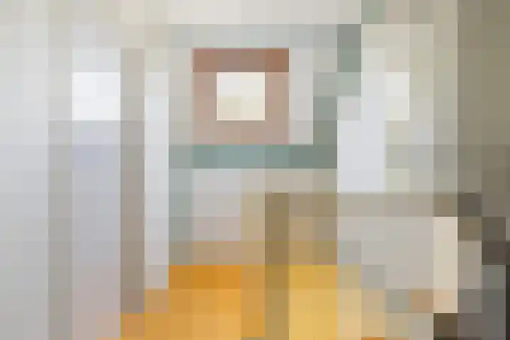 Adamsdreef 34 Ede thumbnail 18