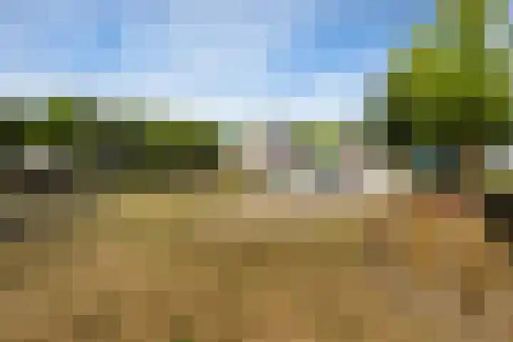 Adamsdreef 34 Ede thumbnail 26