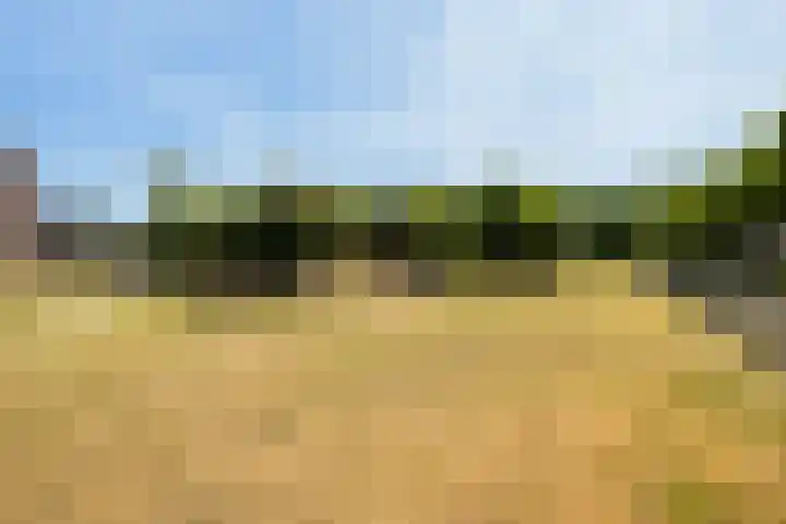 Adamsdreef 34 Ede thumbnail 27