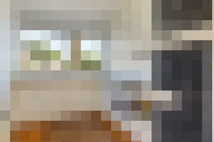 Adamsdreef 34 Ede thumbnail 8