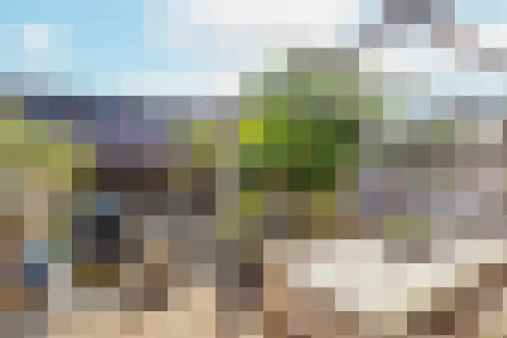 Adderwortel 16 De Meern thumbnail 13