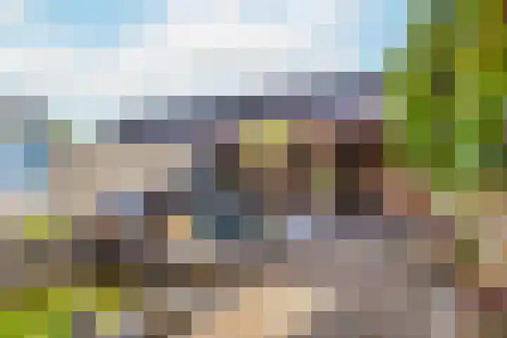 Adderwortel 16 De Meern thumbnail 15