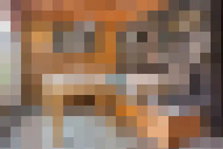 Adderwortel 16 De Meern thumbnail 21