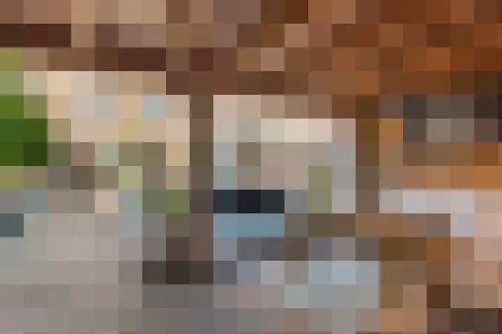 Adderwortel 16 De Meern thumbnail 23