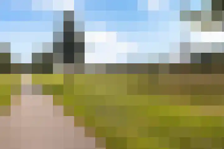 Adderwortel 16 De Meern thumbnail 48