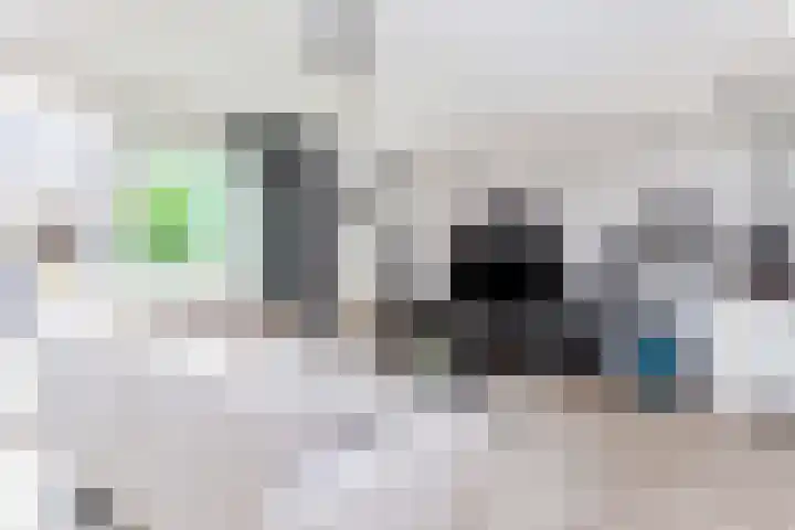 Adderwortel 16 De Meern thumbnail 6