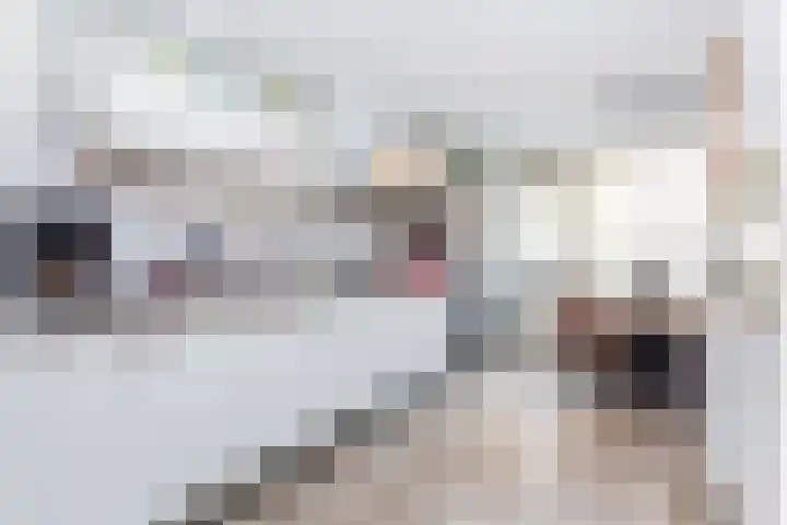 Adderwortel 16 De Meern thumbnail 8