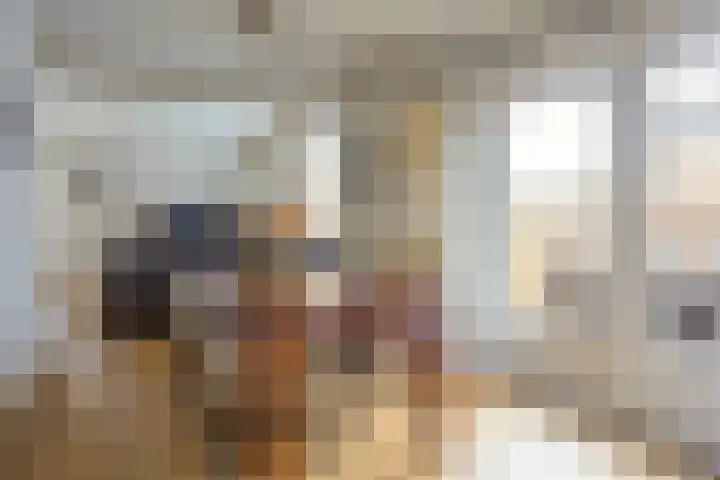 Adelaar 30 Oss thumbnail 10
