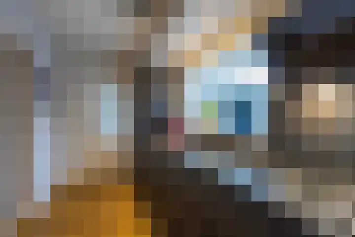 Adelaar 30 Oss thumbnail 13