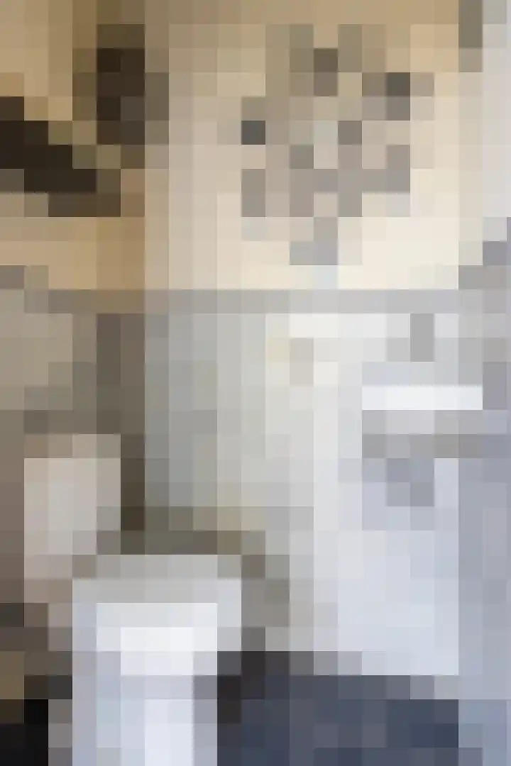 Adelaar 30 Oss thumbnail 16