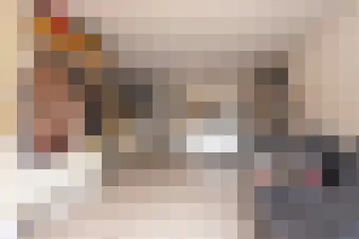 Adelaar 30 Oss thumbnail 17
