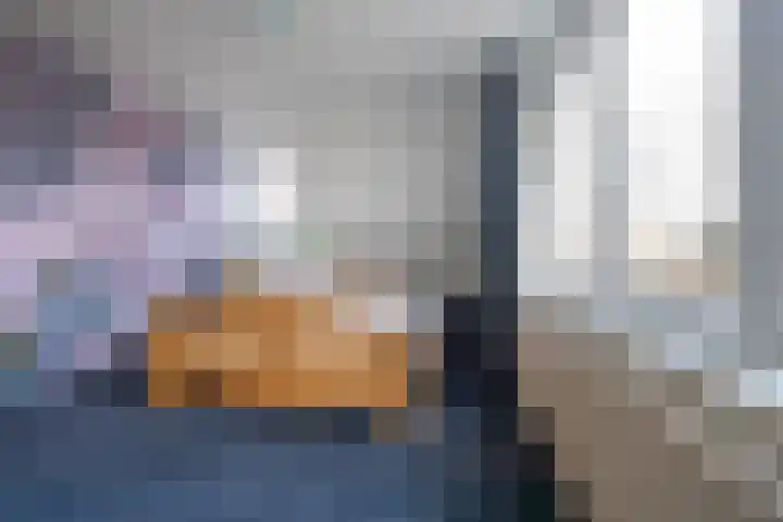 Adelaar 30 Oss thumbnail 19