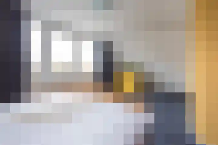 Adelaar 30 Oss thumbnail 20