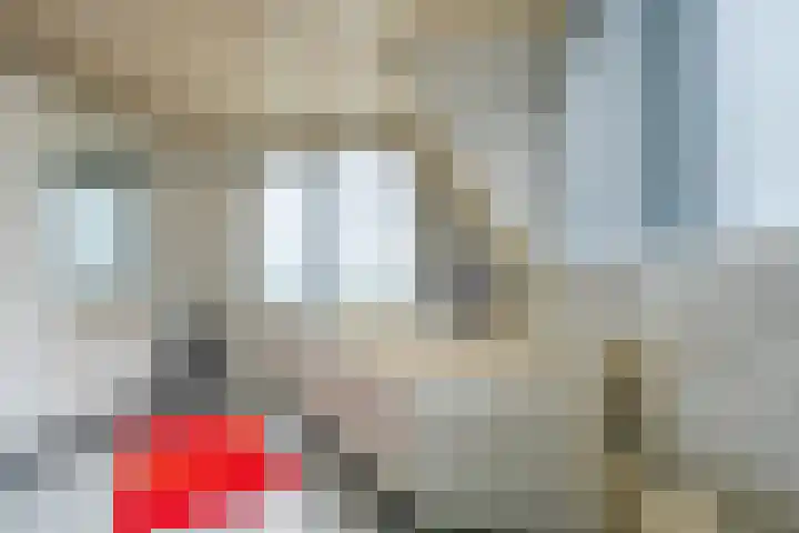 Adelaar 30 Oss thumbnail 22