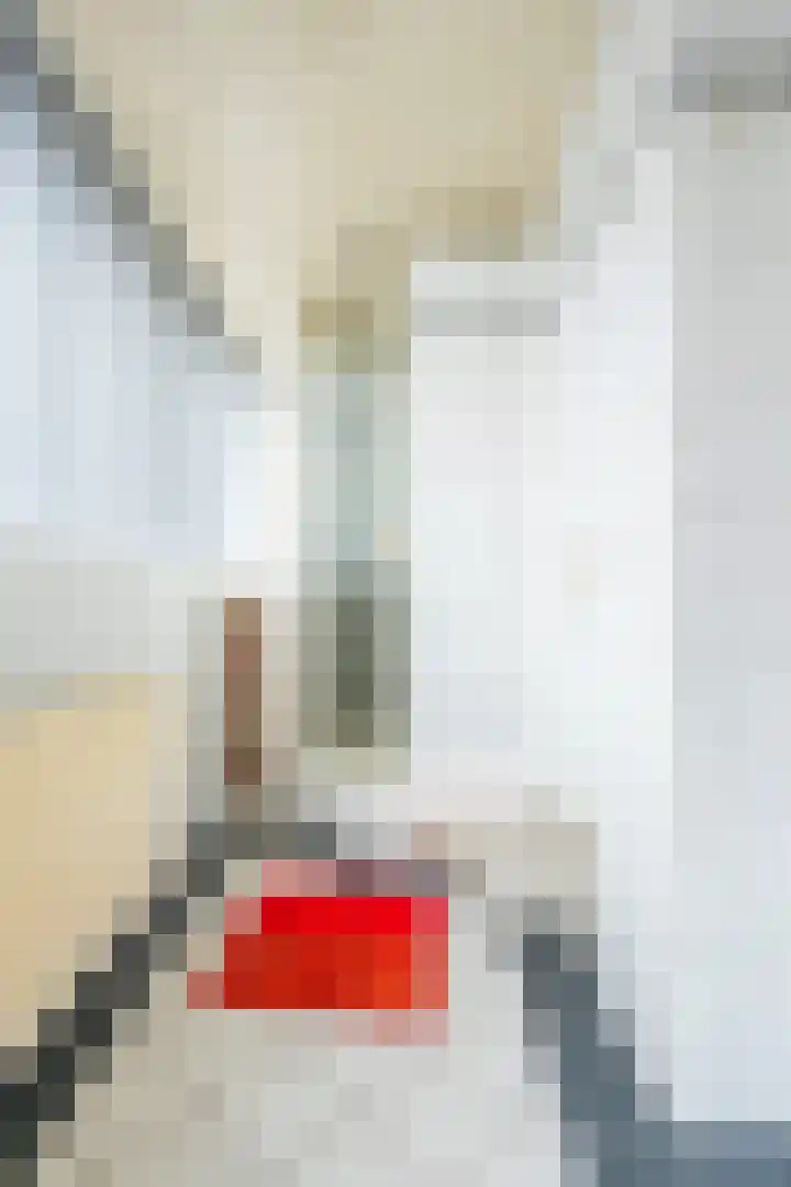 Adelaar 30 Oss thumbnail 24
