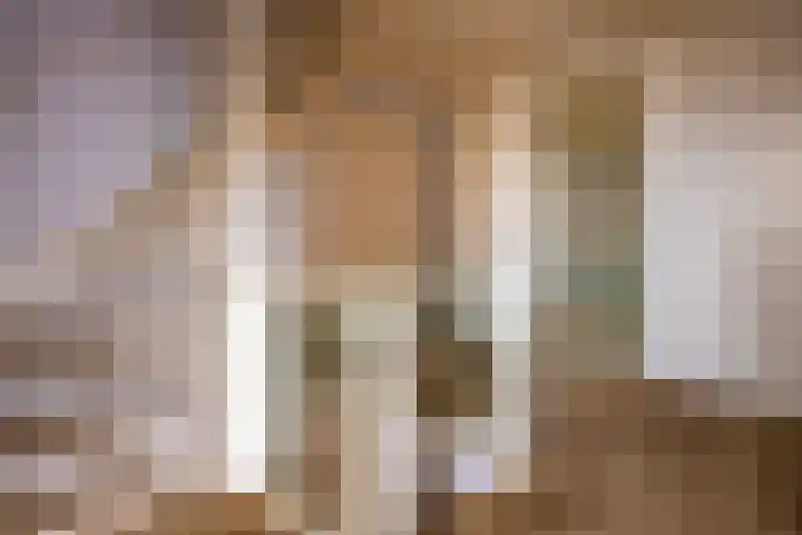 Adelaar 30 Oss thumbnail 26
