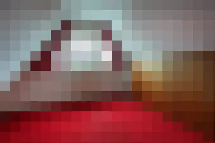 Adelaar 30 Oss thumbnail 27