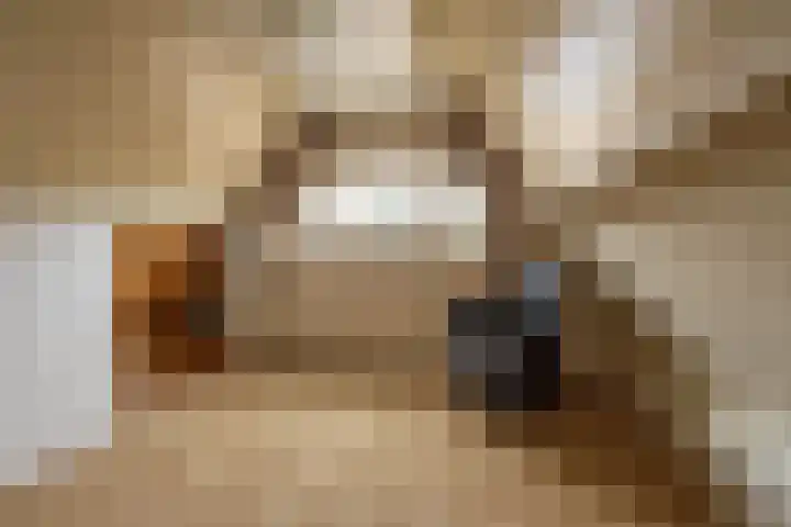 Adelaar 30 Oss thumbnail 28
