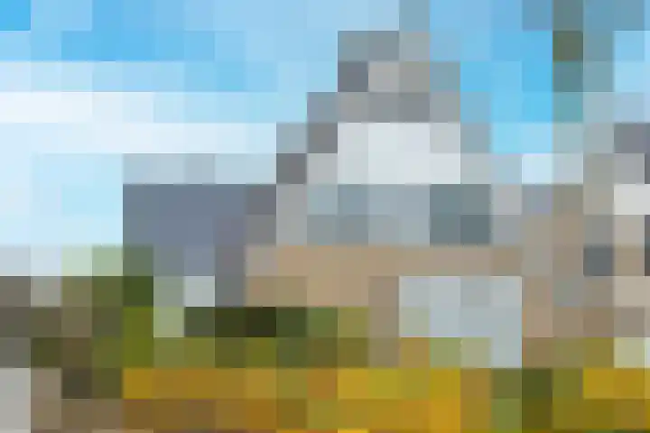 Adelaar 30 Oss thumbnail 29