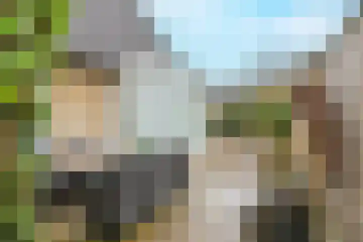 Adelaar 30 Oss thumbnail 30