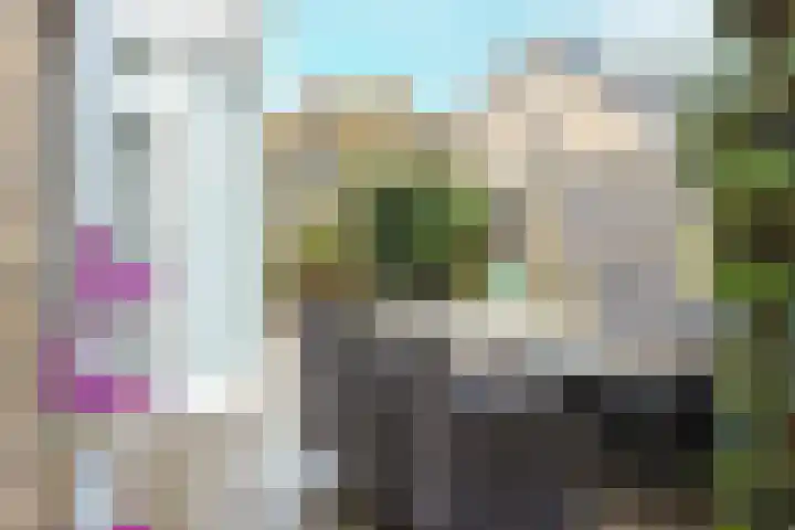 Adelaar 30 Oss thumbnail 31