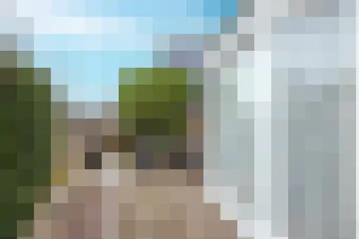 Adelaar 30 Oss thumbnail 32