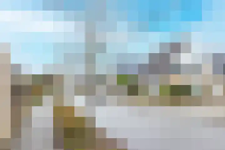 Adelaar 30 Oss thumbnail 35