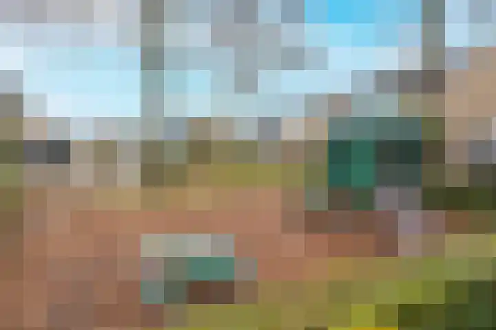 Adelaar 30 Oss thumbnail 37