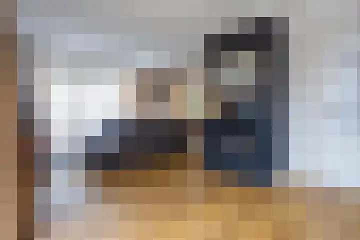 Adelaar 30 Oss thumbnail 4