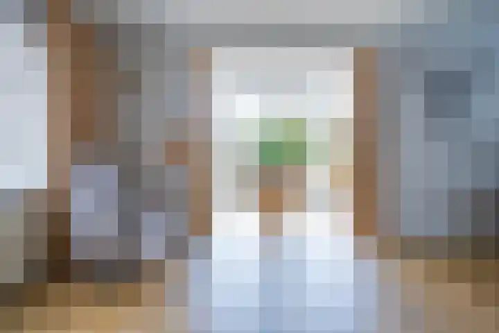 Adelaar 30 Oss thumbnail 5