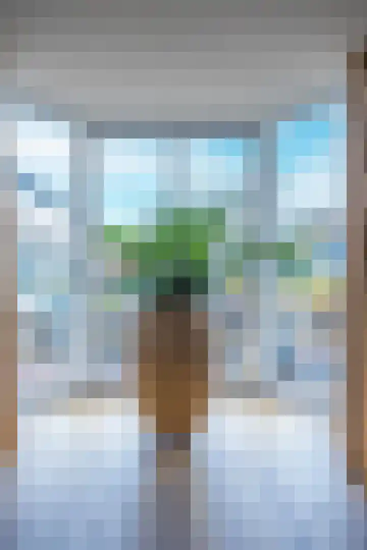 Adelaar 30 Oss thumbnail 8