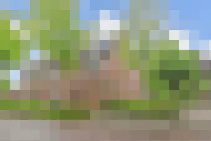 Adelaarshorst 2 Honselersdijk thumbnail 13