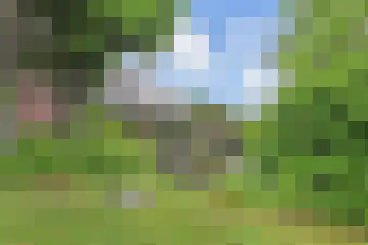 Adelaarshorst 2 Honselersdijk thumbnail 14