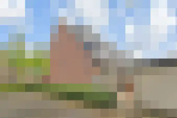Adelaarshorst 2 Honselersdijk thumbnail 15