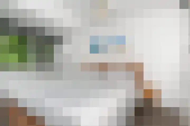 Adelaarshorst 2 Honselersdijk thumbnail 16