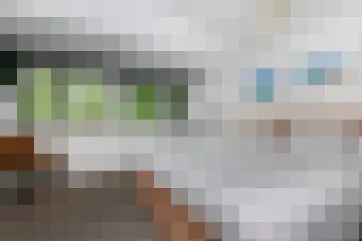 Adelaarshorst 2 Honselersdijk thumbnail 17