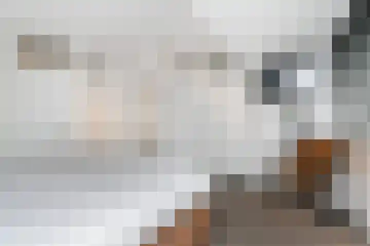 Adelaarshorst 2 Honselersdijk thumbnail 19