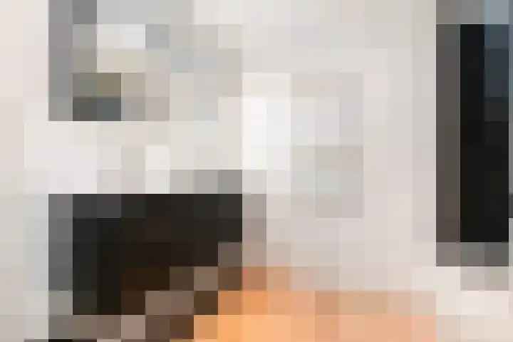 Adelaarshorst 2 Honselersdijk thumbnail 20
