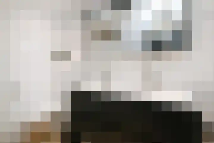 Adelaarshorst 2 Honselersdijk thumbnail 21