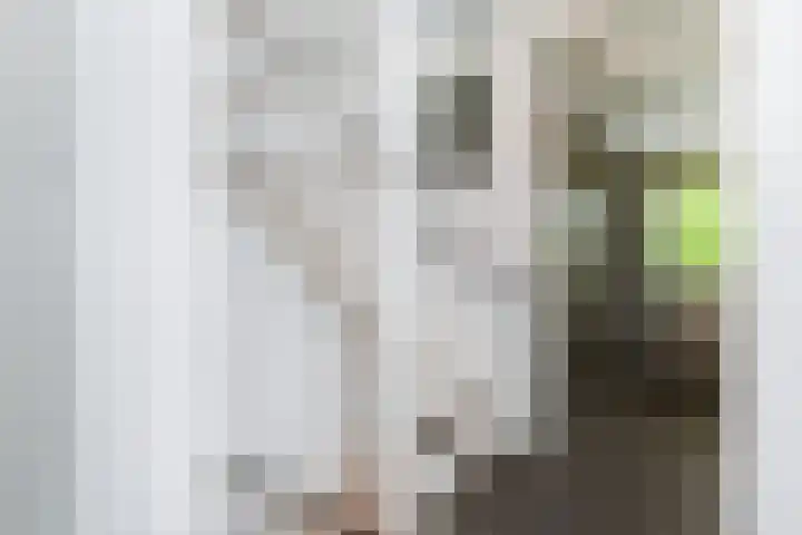 Adelaarshorst 2 Honselersdijk thumbnail 23