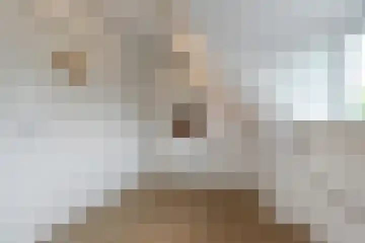 Adelaarshorst 2 Honselersdijk thumbnail 24