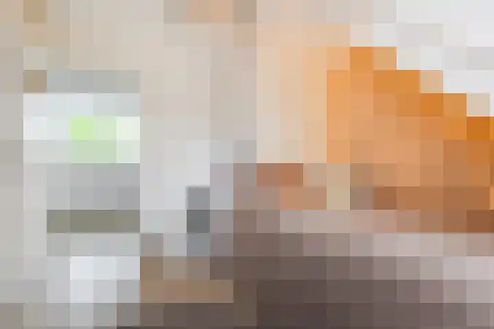 Adelaarshorst 2 Honselersdijk thumbnail 26