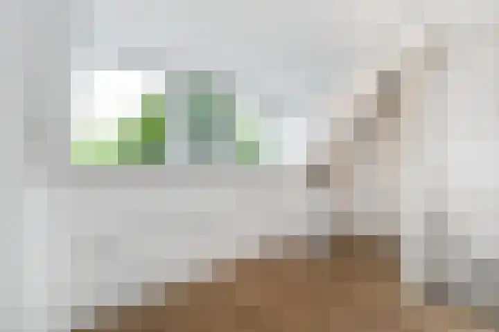 Adelaarshorst 2 Honselersdijk thumbnail 27