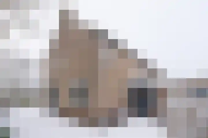 Adelaarshorst 2 Honselersdijk thumbnail 28
