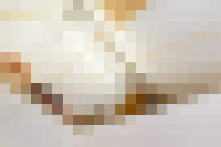 Adelaarshorst 2 Honselersdijk thumbnail 30