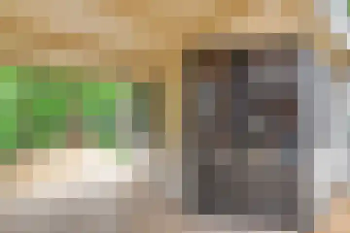 Adelaarshorst 2 Honselersdijk thumbnail 35