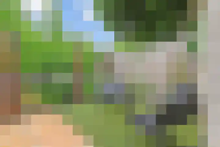 Adelaarshorst 2 Honselersdijk thumbnail 36