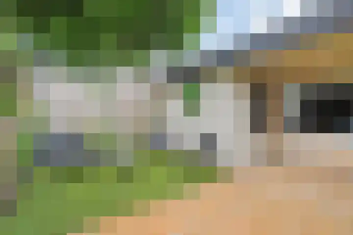 Adelaarshorst 2 Honselersdijk thumbnail 37