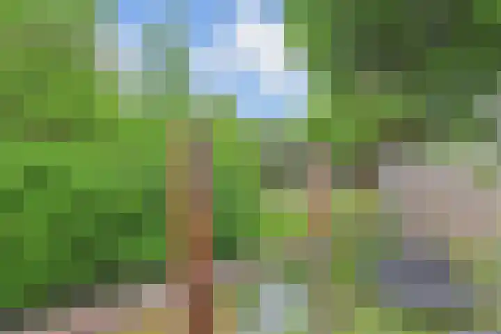 Adelaarshorst 2 Honselersdijk thumbnail 38
